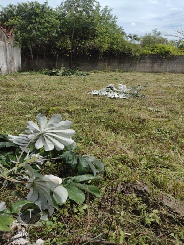 Terreno à venda, 282m² - Foto 2