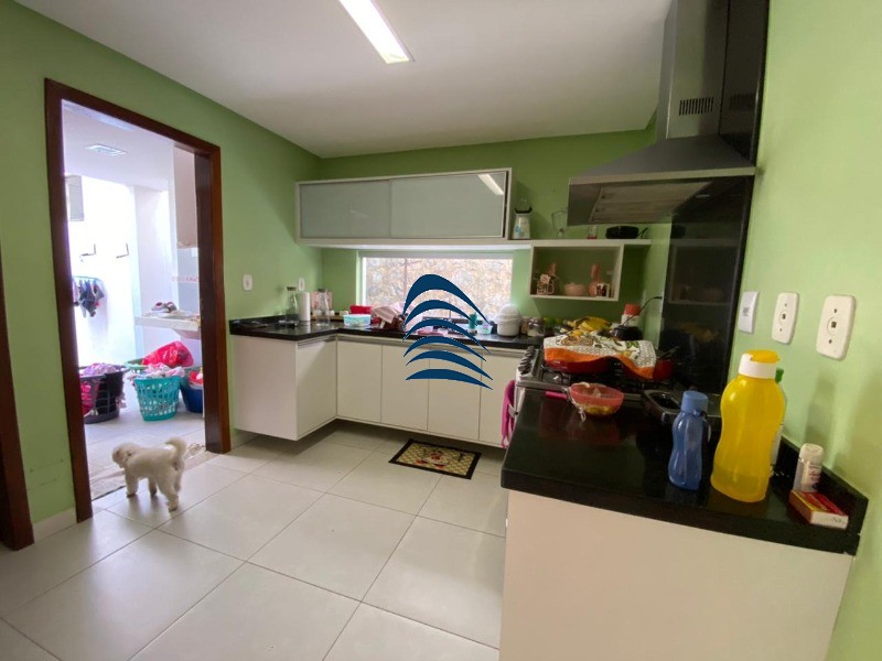 Casa, 4 quartos, 340 m² - Foto 4