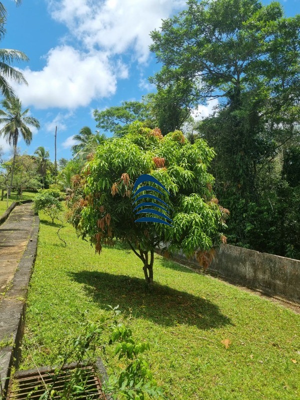 Terreno à venda, 35000m² - Foto 2