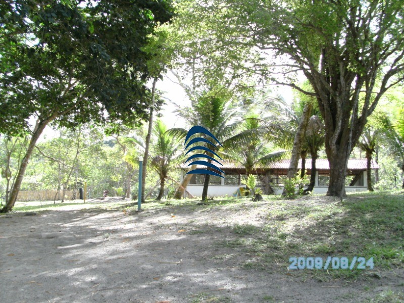 Fazenda à venda com 4 quartos - Foto 41