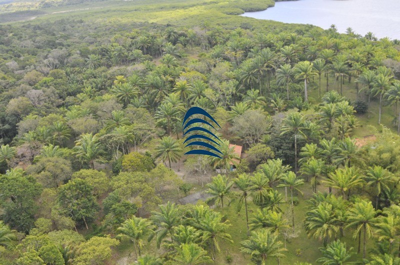 Fazenda à venda com 4 quartos - Foto 34