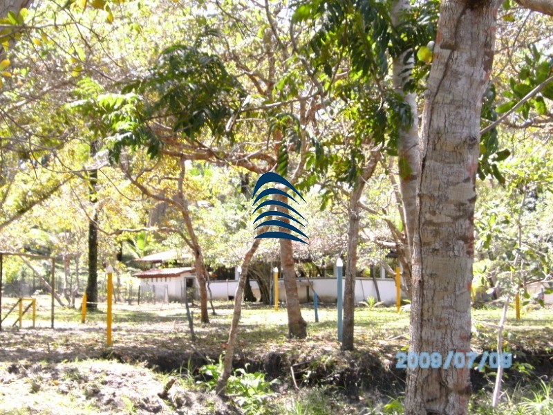 Fazenda à venda com 4 quartos - Foto 45