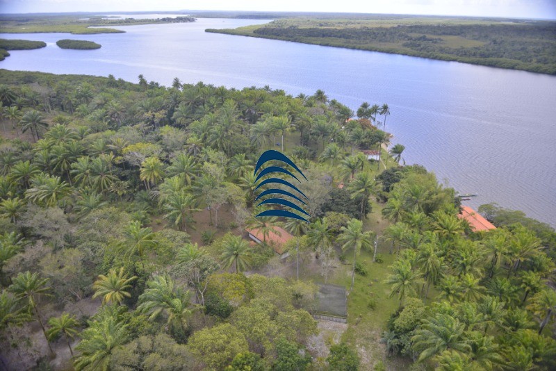 Fazenda à venda com 4 quartos - Foto 14