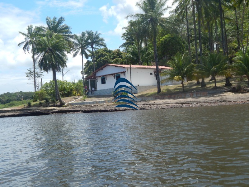 Fazenda à venda com 4 quartos - Foto 52