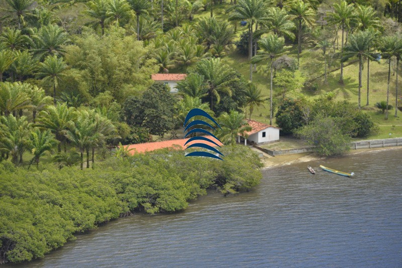 Fazenda à venda com 4 quartos - Foto 7