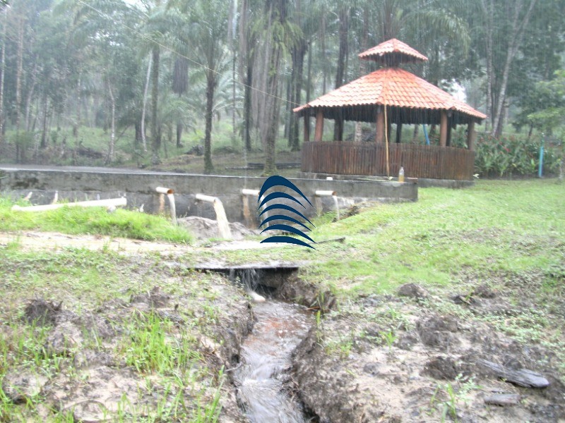 Fazenda à venda com 4 quartos - Foto 44