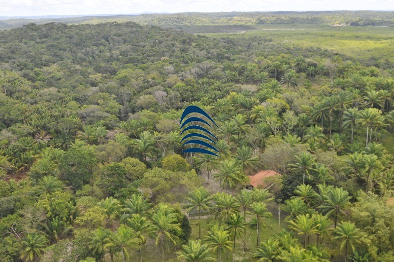 Fazenda à venda com 4 quartos - Foto 35