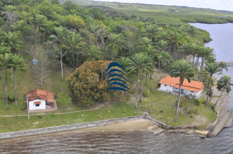 Fazenda à venda com 4 quartos - Foto 31