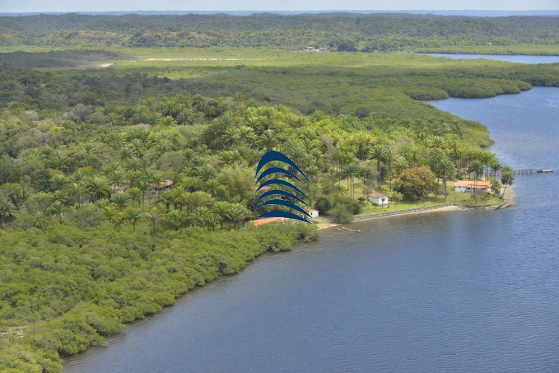 Fazenda à venda com 4 quartos - Foto 6