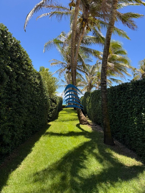 Casa, 4 quartos, 385 m² - Foto 33