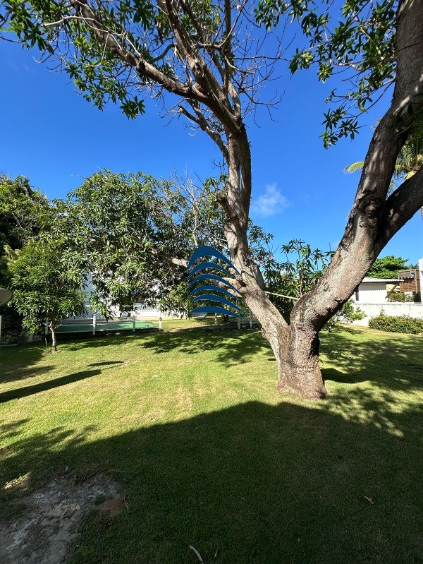 Casa, 4 quartos, 435 m² - Foto 30