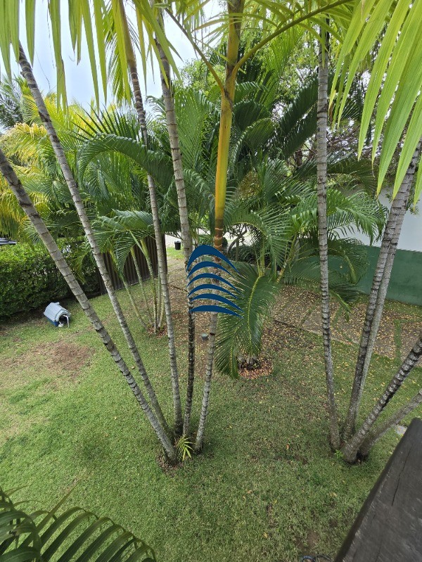Apartamento, 3 quartos, 450 m² - Foto 51