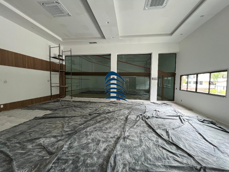 Apartamento, 4 quartos, 250 m² - Foto 43