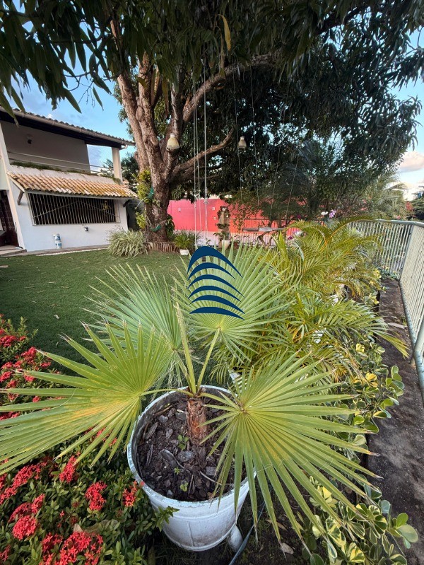 Casa, 5 quartos, 600 m² - Foto 13