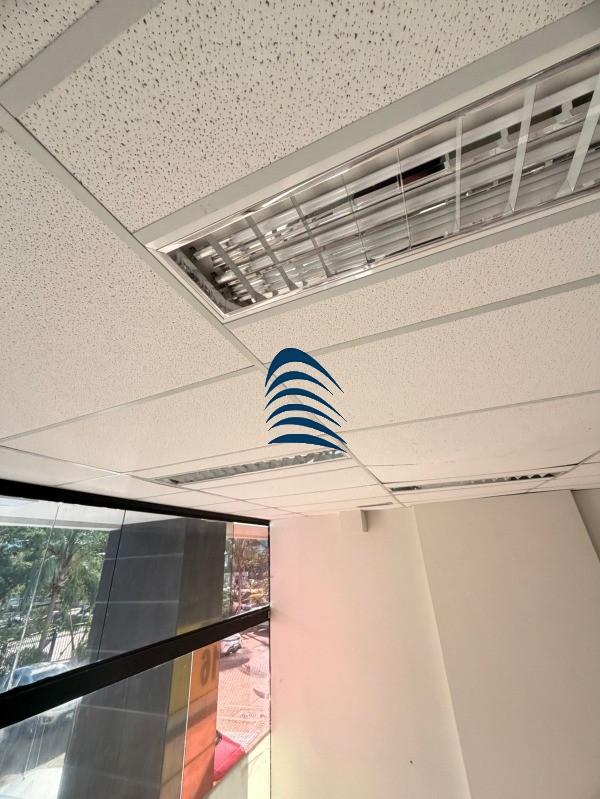 Sala-Conjunto, 300 m² - Foto 8
