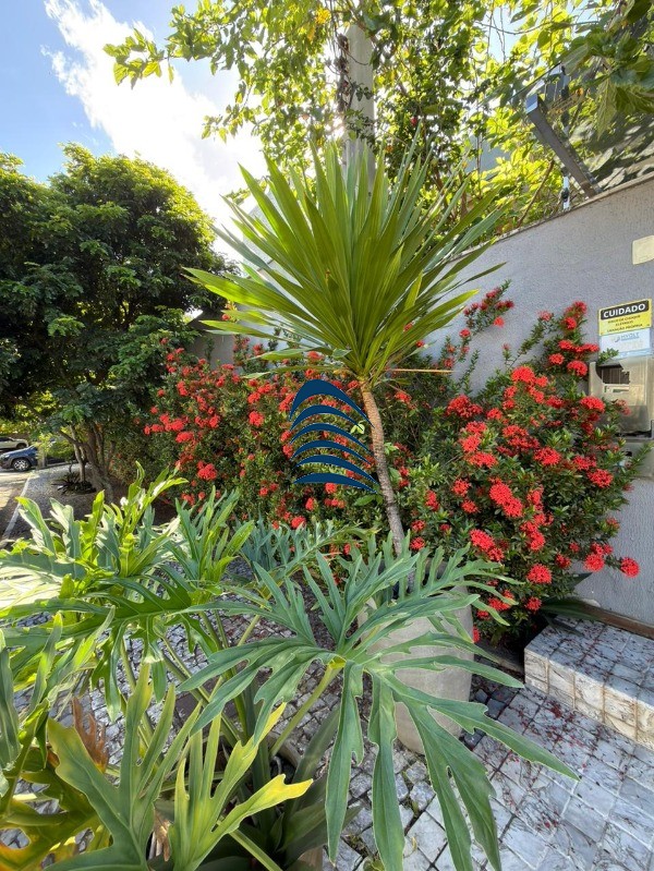 Casa, 4 quartos, 330 m² - Foto 20