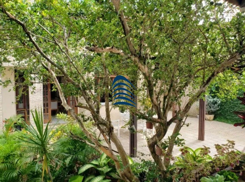 Casa, 4 quartos - Foto 6