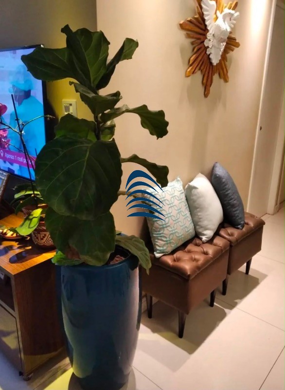 Apartamento, 3 quartos, 70 m² - Foto 5