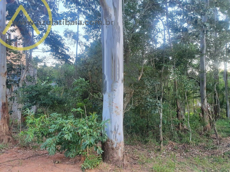 A localização é perfeita para os amantes da natureza, com muito verde ao redor.