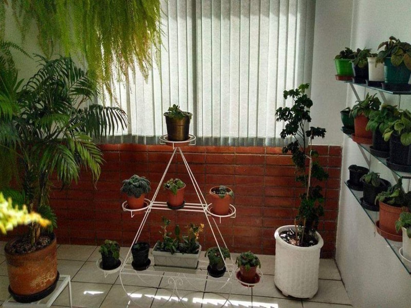 Apartamento, 2 quartos, 60 m² - Foto 22