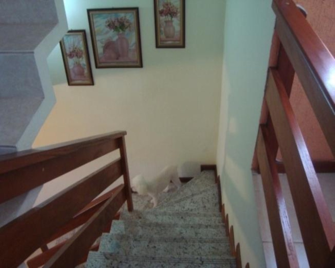 Casa, 3 quartos, 210 m² - Foto 11