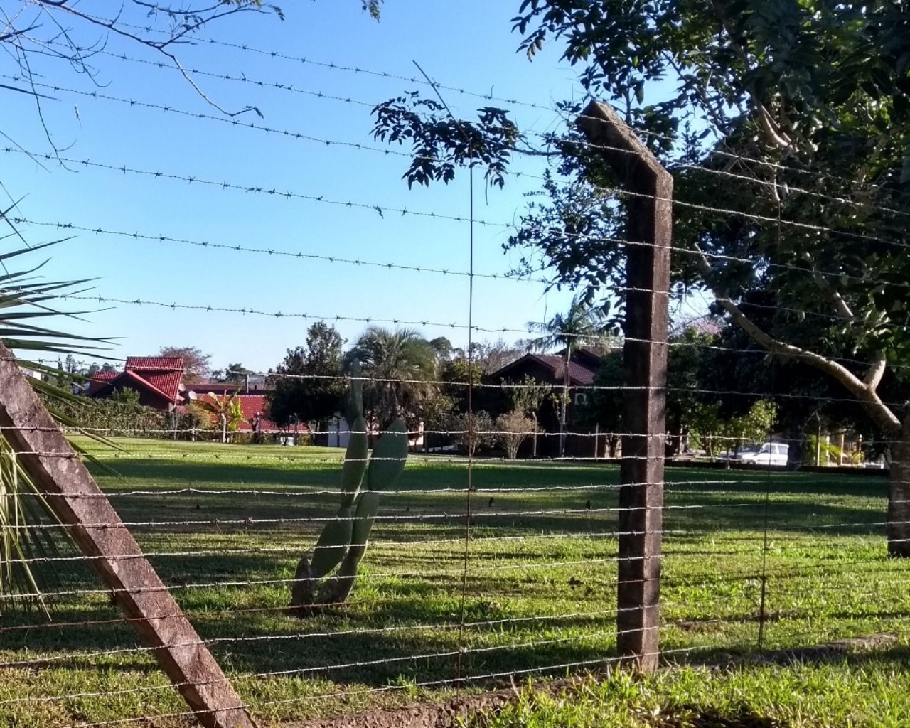 Terreno à venda, 2000m² - Foto 2