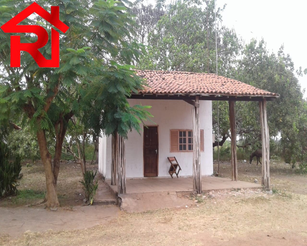 Fazenda à venda, 23000m² - Foto 17