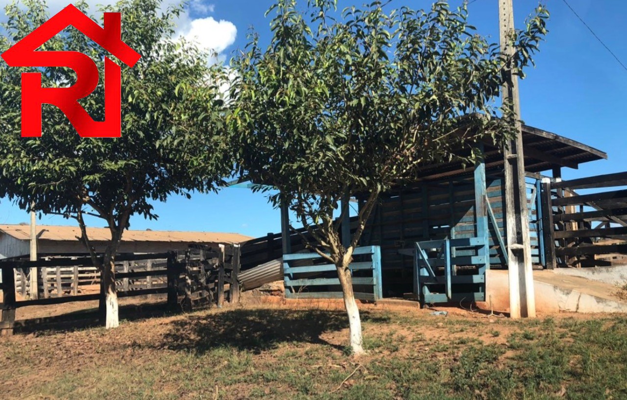 Fazenda à venda - Foto 4