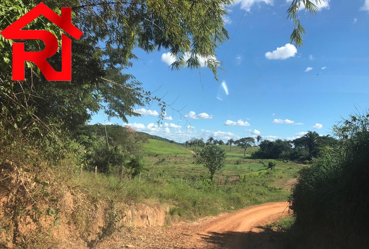 Fazenda à venda - Foto 6