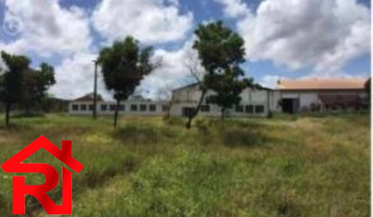 Depósito-Galpão-Armazém à venda, 80000m² - Foto 7