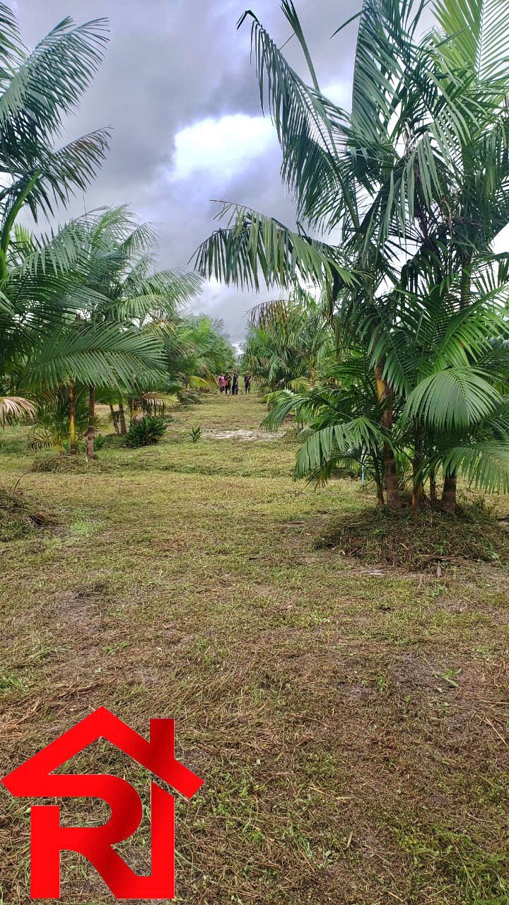 Fazenda à venda, 11900m² - Foto 7