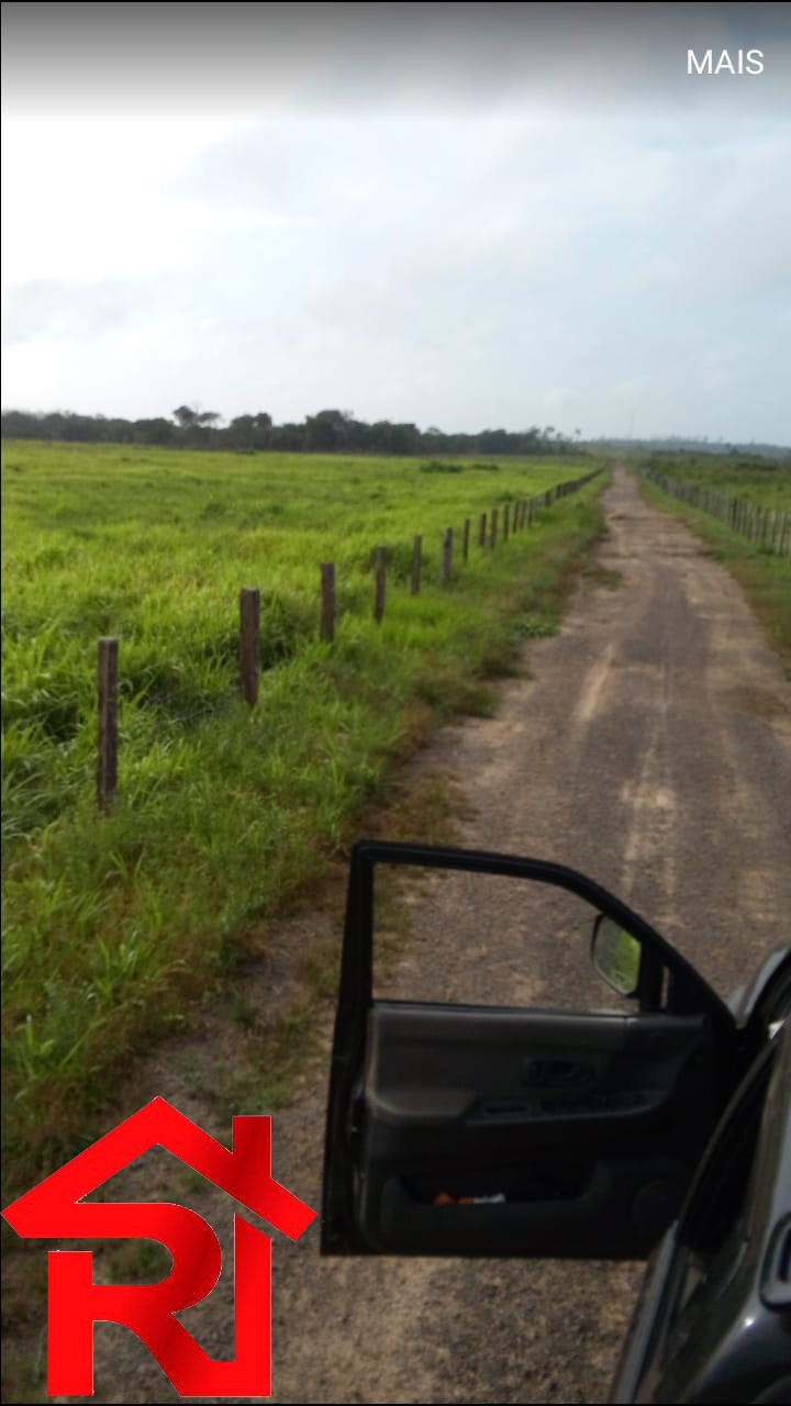 Fazenda à venda, 11900m² - Foto 11