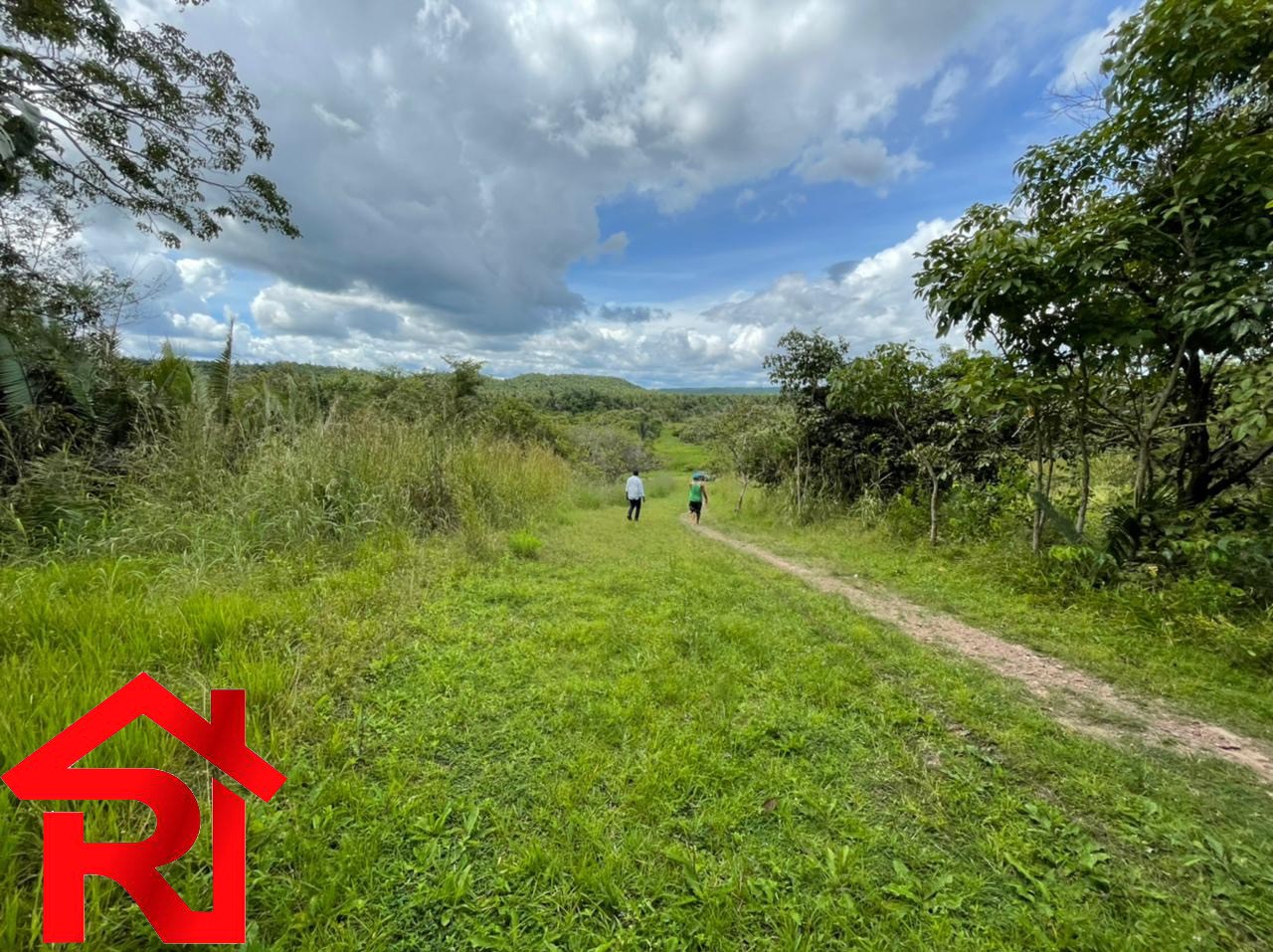 Fazenda à venda com 6 quartos, 300m² - Foto 10