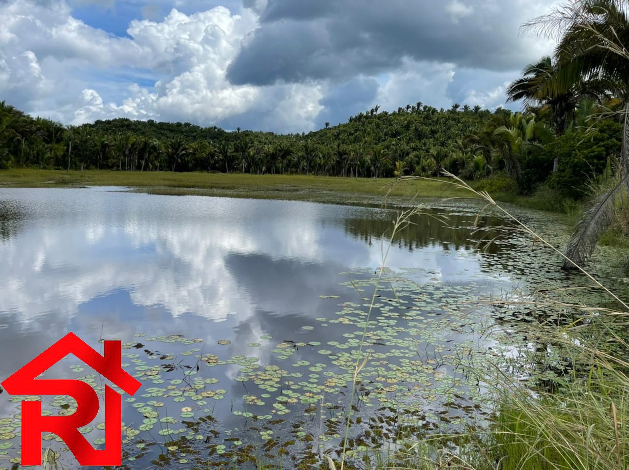 Fazenda à venda com 6 quartos, 300m² - Foto 12