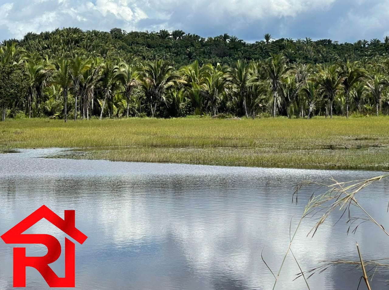 Fazenda à venda com 6 quartos, 300m² - Foto 13