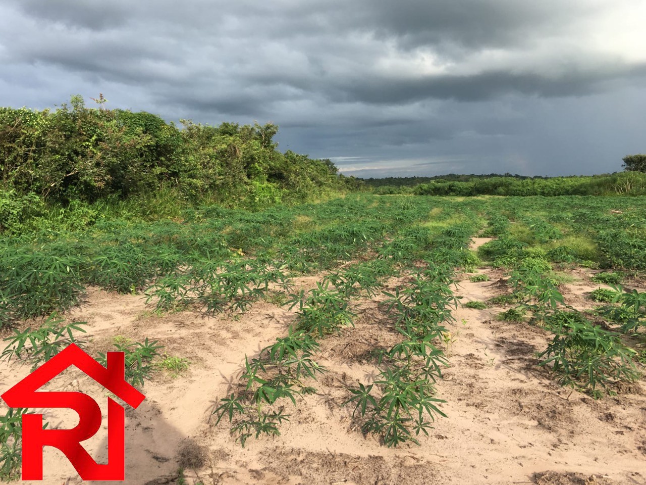 Fazenda à venda - Foto 7