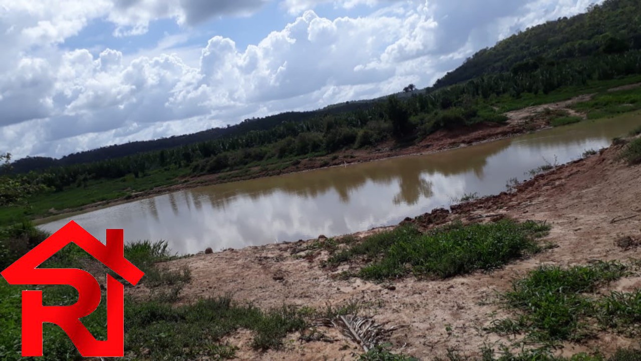 Fazenda à venda - Foto 6