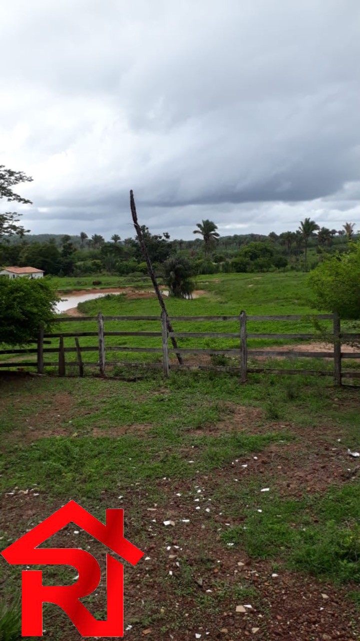 Fazenda à venda - Foto 8