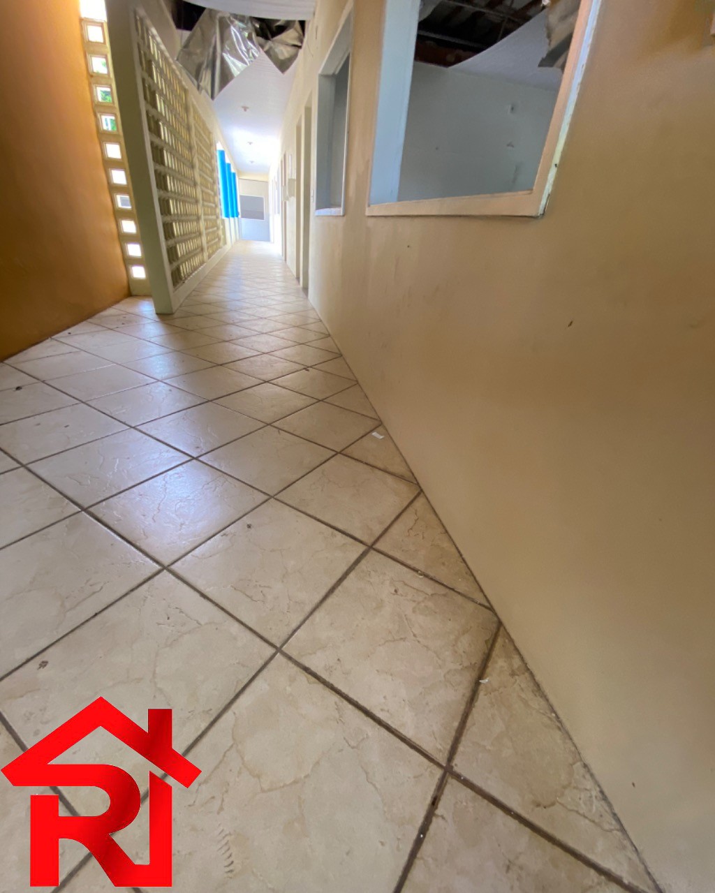 Prédio Inteiro, 6000 m² - Foto 11