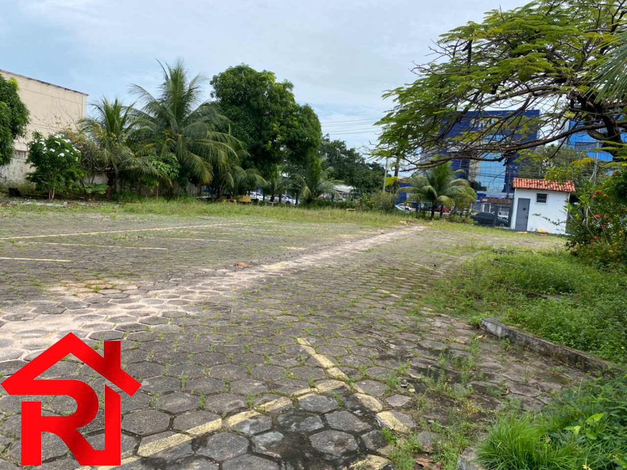 Prédio Inteiro, 6000 m² - Foto 17