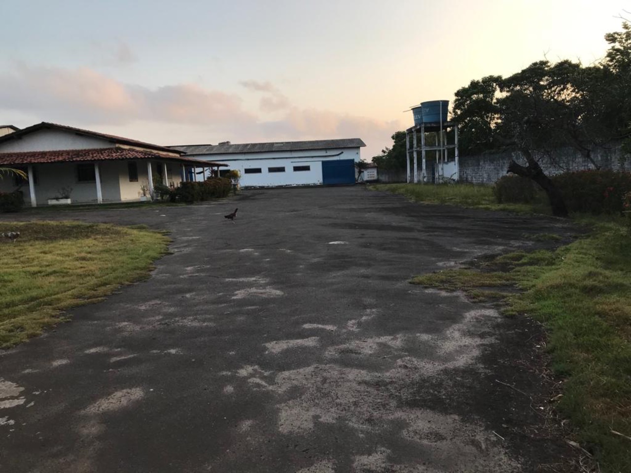 Depósito-Galpão-Armazém à venda, 12000m² - Foto 4