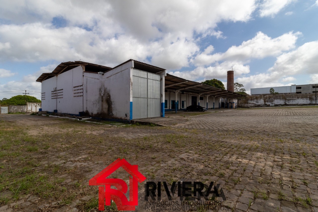 Depósito-Galpão-Armazém para alugar, 10000m² - Foto 11