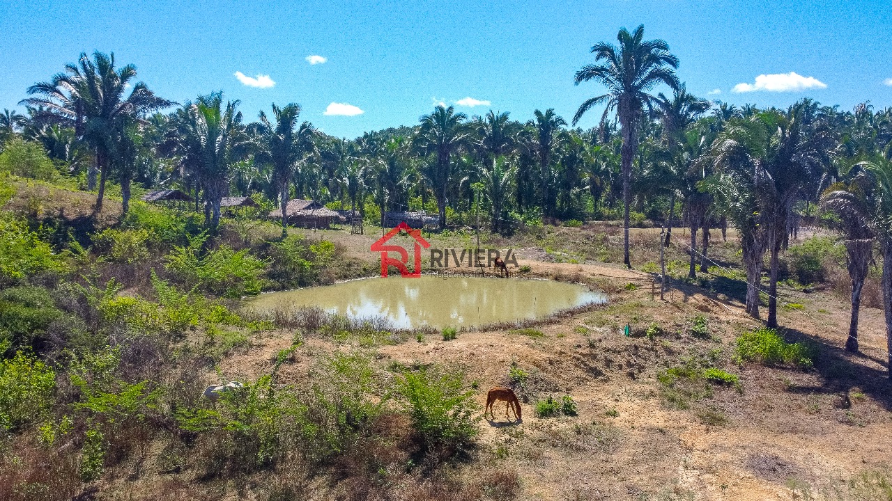 Fazenda à venda, 12m² - Foto 8