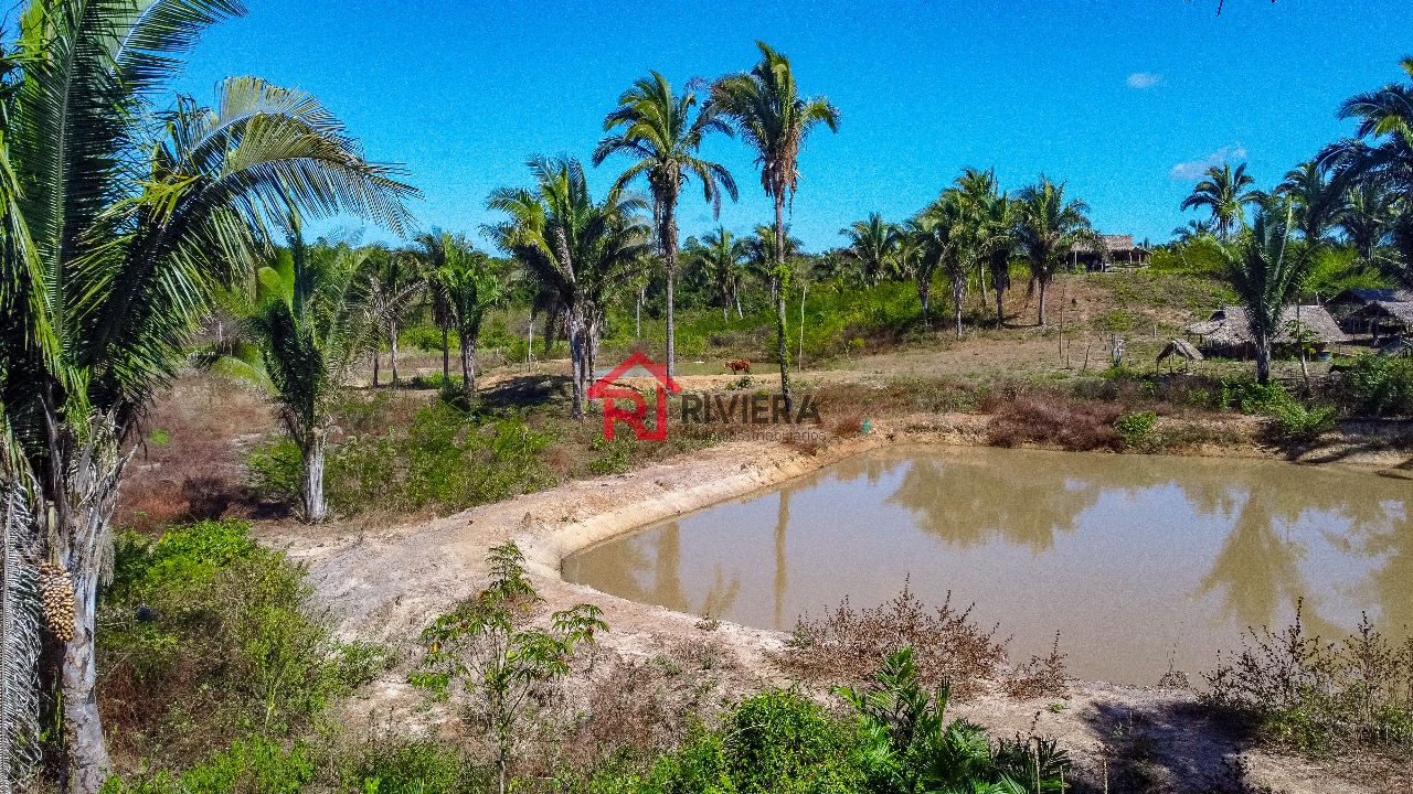 Fazenda à venda, 12m² - Foto 10