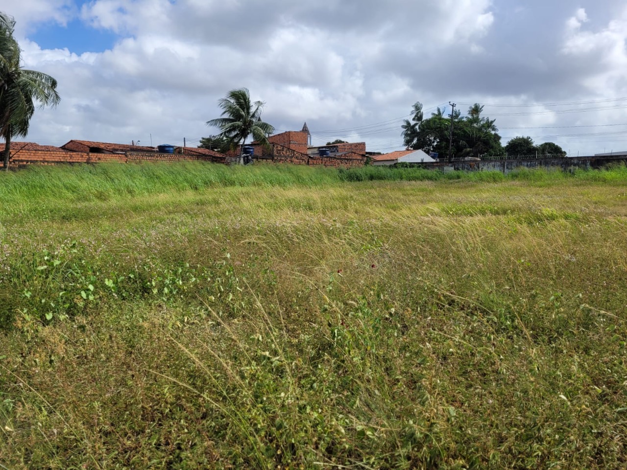 Depósito-Galpão-Armazém para alugar, 15000m² - Foto 7