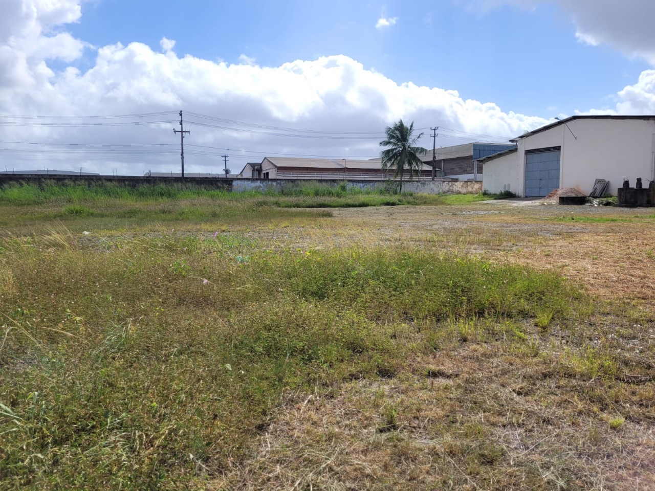 Depósito-Galpão-Armazém para alugar, 15000m² - Foto 5