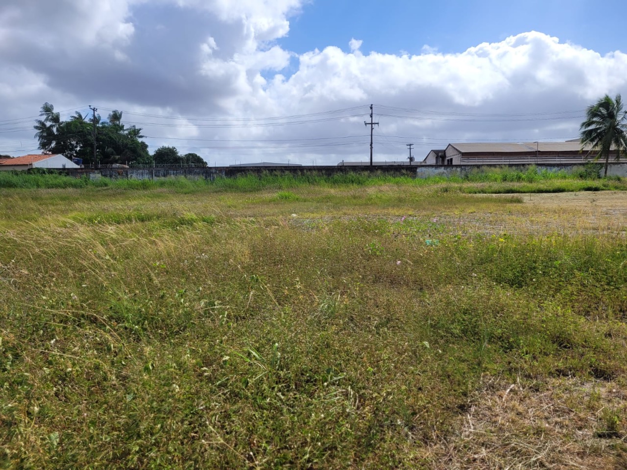 Depósito-Galpão-Armazém para alugar, 15000m² - Foto 6