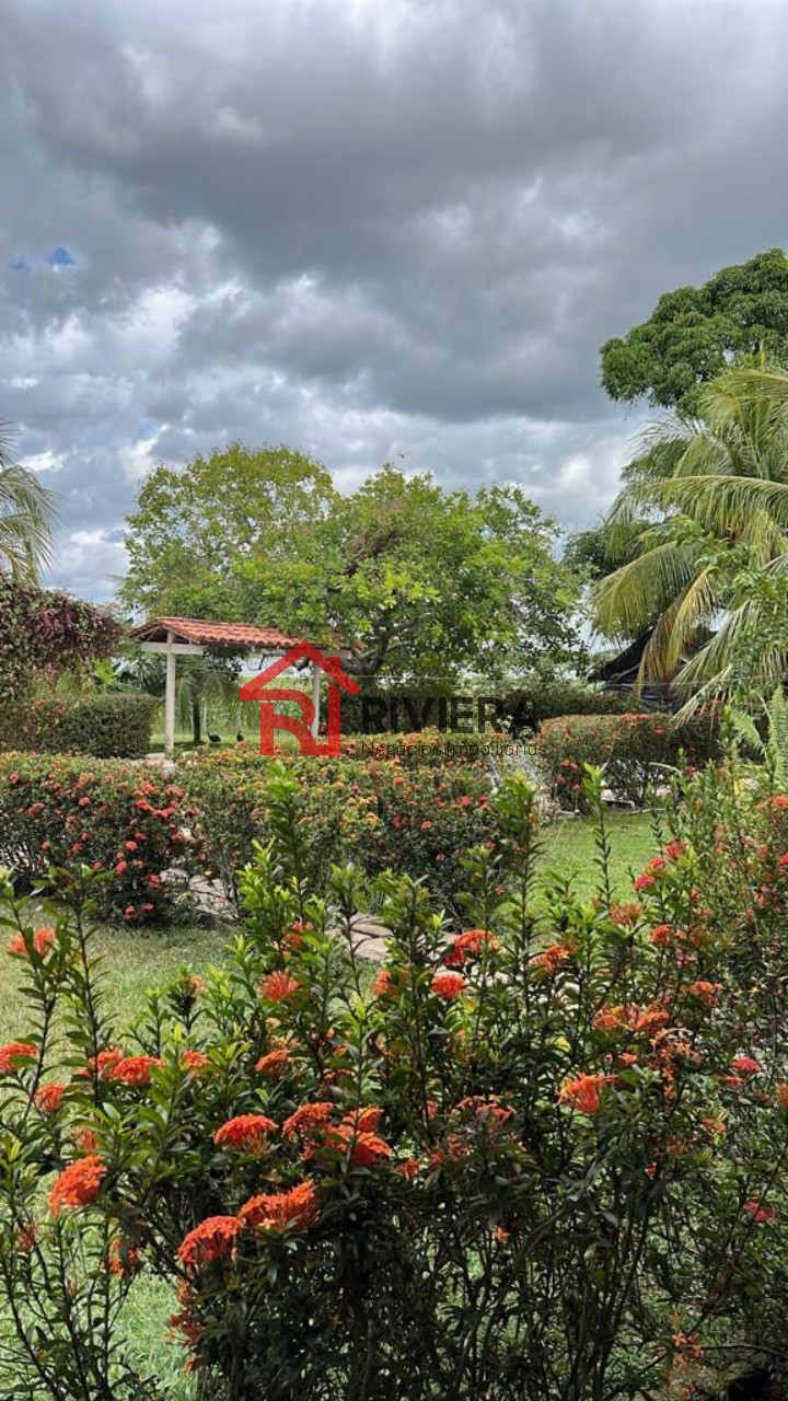 Fazenda à venda, 1566m² - Foto 25