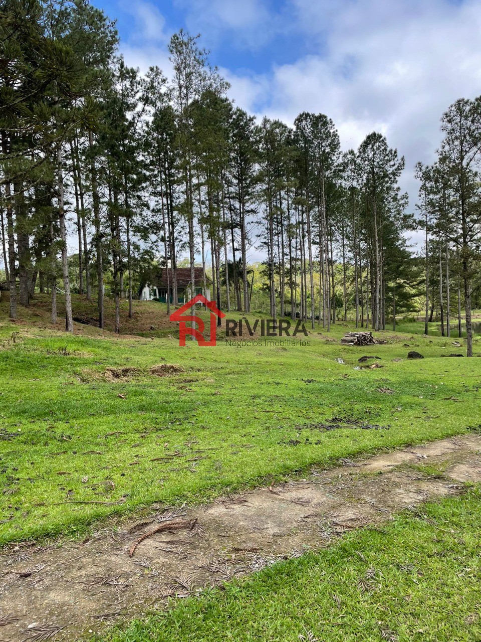 Fazenda à venda, 4500m² - Foto 39