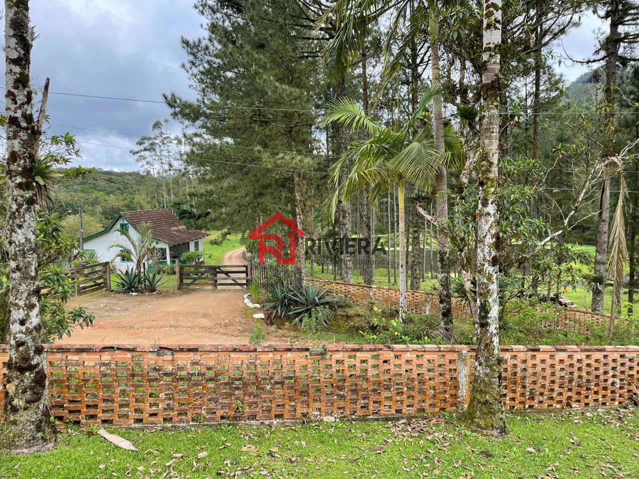 Fazenda à venda, 4500m² - Foto 43